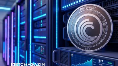 BitTorrent Token (BTT) İncelemesi: Kârlı Bir Yatırım Olabilir mi?