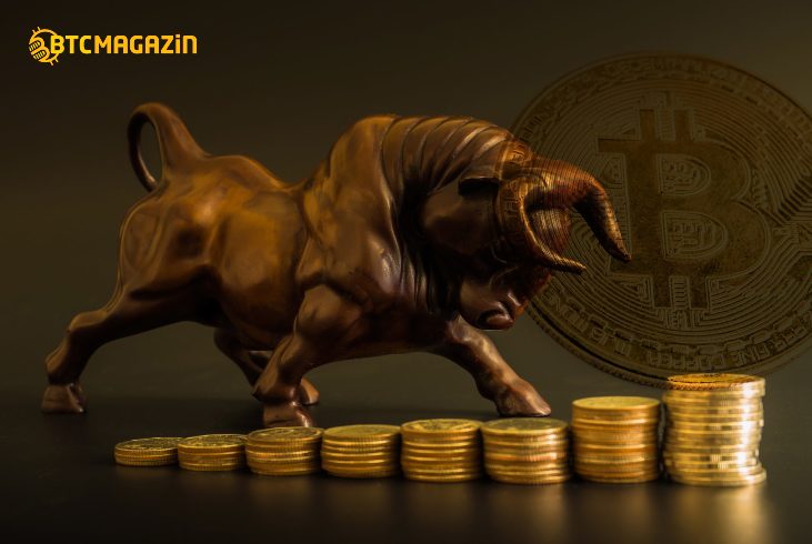 Bitcoin (BTC) Balinalarının Sayısı İki Yılın En Yüksek Seviyesine Ulaştı. Ufukta Başka Bir Boğa Koşusu Var mı? 1