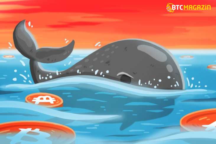 Bitcoin Balinaları 92.670 BTC Taşıdı 1