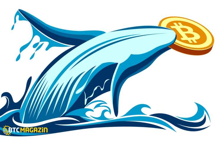 BTC Balinaları 2017 Piyasasını Yansıtıyor 1
