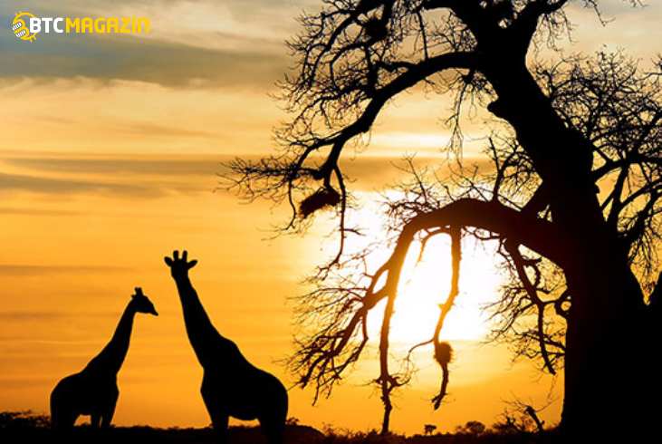 Bitcoin Günlüğü: Afrika'da Güneş Enerjisiyle Çalışan Bitcoin Node Kiti Piyasaya Sürüldü 1 Bitcoin Günlüğü: Afrika'da Güneş Enerjisiyle Çalışan Bitcoin Node Kiti Piyasaya Sürüldü 1