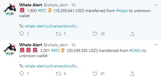 Balinalar 8.800 Bitcoin Taşırken, BTC 10.000 Doların Üzerinde Kalmaya Çalışıyor 2