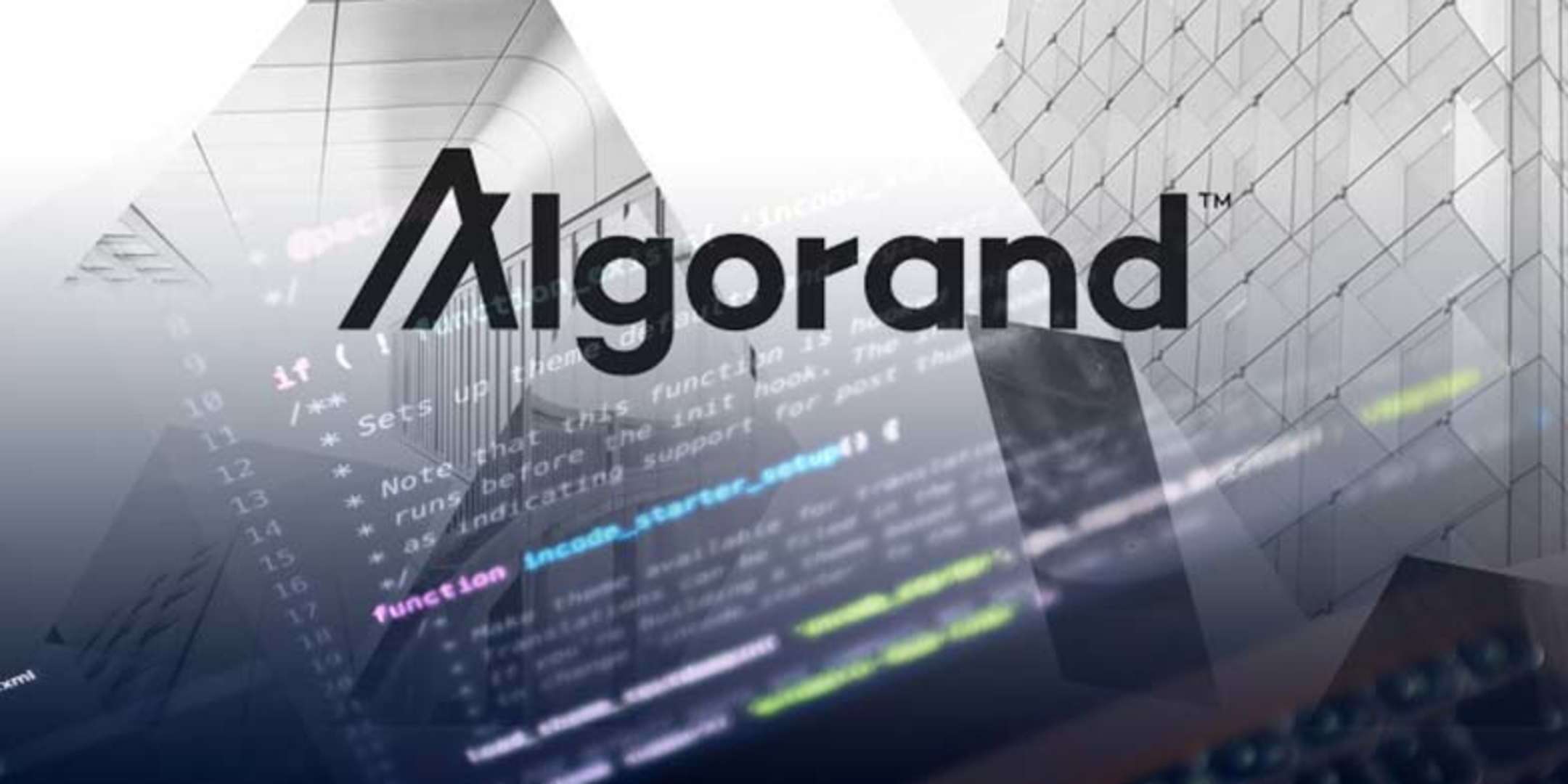 Algorand'ı Anlamak 9