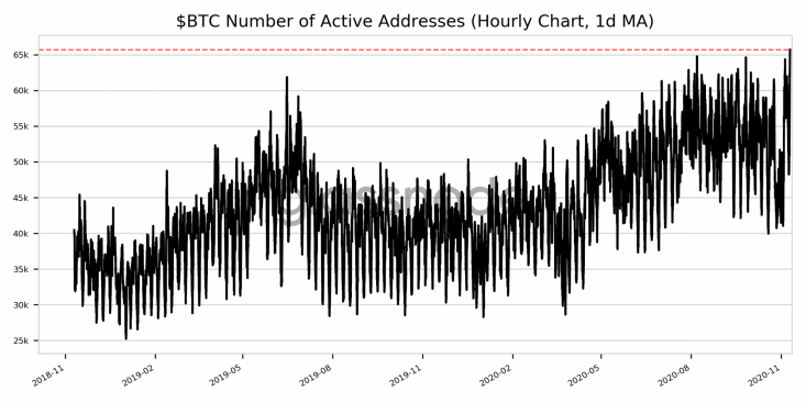 31 Milyondan Fazla Bitcoin Adresi Kârda 4 31 Milyondan Fazla Bitcoin Adresi Kârda 4