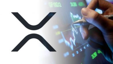 16 Aralık 2020 XRP Fiyat Analizi 7