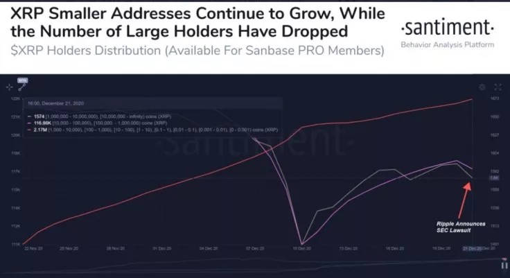 SEC'in Dava Açmasıyla XRP Balina Sayısı Azaldı 2