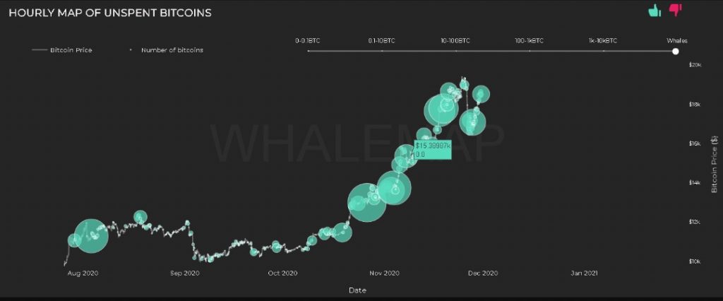 Bitcoin Boğa Koşusu Henüz Başlamadı mı? 3