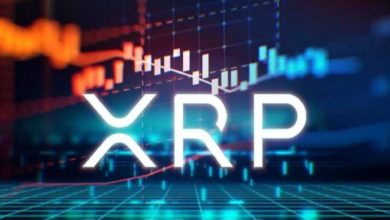 23 Aralık 2020 Ripple (XRP) Fiyat Analizi 1