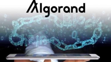 Algorand: İleri Nesil Blokzincir Teknolojisi 7