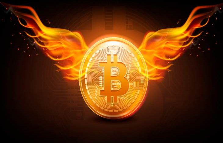 Bitcoin 23.000$'ı Aşarak Rekora İmza Attı 1
