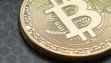 1.000 BTC'li Cüzdanlar Yeni ATH'ye Ulaştı 1