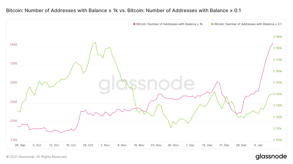 Veriler Bitcoin Balinalarının Dipten Aldığını Gösteriyor 3