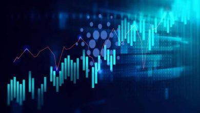 22 Ocak 2021 Cardano (ADA) Fiyat Analizi 2