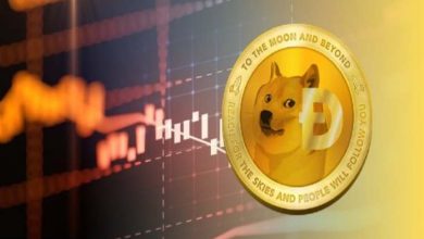 29 Ocak 2021 Dogecoin (DOGE) Fiyat Analizi 3