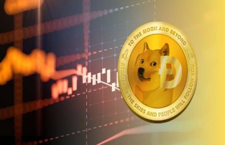 29 Ocak 2021 Dogecoin (DOGE) Fiyat Analizi 1