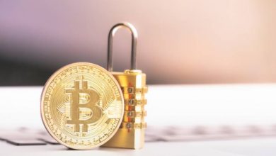 Milyonlarca Dolarlık BTC Cüzdan Şifresi Unutuldu 10
