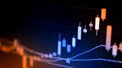 Polkadot ve Chainlink Rekor Seviyeye Ulaştı 4