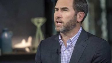 Ripple CEO'su Mücadeleye Devam Etme Sözü Verdi 4