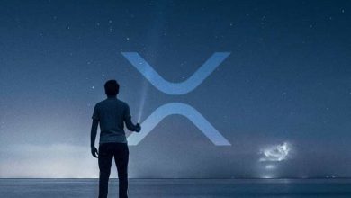 Ripple Kurucusu Devasa Miktarda XRP Sattı 5