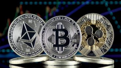 1 Şubat 2021 BTC, ETH ve XRP Fiyat Analizi 7