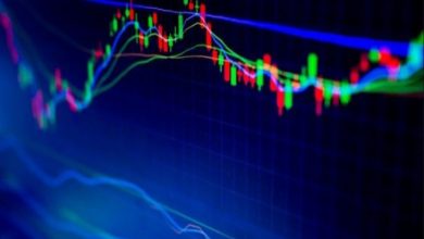 12 Şubat 2021 Polkadot, EOS, Dash Fiyat Analizi 1
