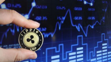 13 Şubat 2021 XRP Fiyat Analizi 8