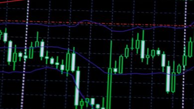 28 Şubat 2021 Cardano, Bitcoin SV, Dogecoin Fiyat Analizi 4