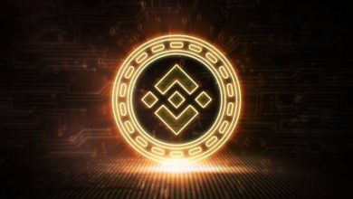 Binance Coin (BNB) Tüm Zamanların Rekorunu Kırdı 7