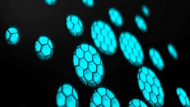 Cardano'nun İşlem Hacmi Ethereum'u Geride Bıraktı 5