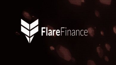 Flare Finance, Teknik Denetim Sağlayıcısını Duyurdu 1
