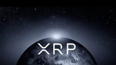 Kısıtlamalara Rağmen Global XRP Hacmi Yüzde 300 Arttı 4
