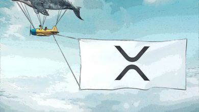 Lider Kripto Borsaları Tarafından 61 Milyon XRP Taşındı 7