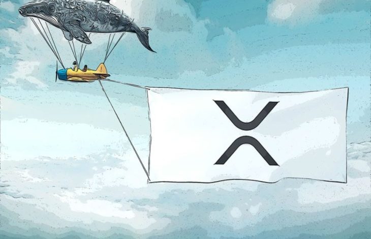 Lider Kripto Borsaları Tarafından 61 Milyon XRP Taşındı 1
