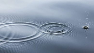 Ripple ODL Ortağı ve Binance Tarafından 288,5 Milyon XRP Taşındı 4