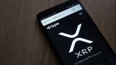 XRP Ledger, Yeni Sürümüyle Büyük Verimlilik Artışı Sağladı 2