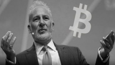 Bitcoin Eleştirmeni: Hükümetler Bitcoin'i Düzenlememeli 1
