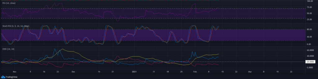 13 Şubat 2021 XRP Fiyat Analizi 3