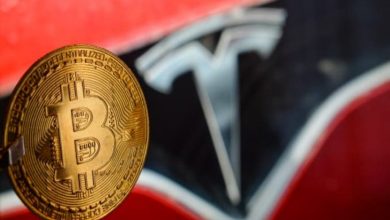 Bloomberg Stratejisti: GBTC Bu Yıl Tesla'yı Geride Bıraktı 4