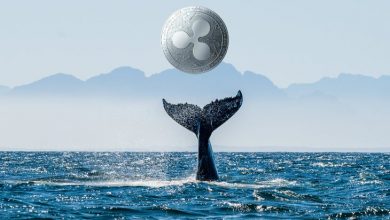 Chris Larsen ve Birkaç Platform Tarafından 136,8 Milyon XRP Transfer Edildi 3