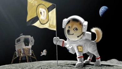 Dogecoin Twitter'da Bitcoin'den Daha Popüler Hale Geldi 7