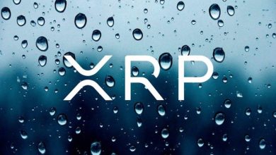 Jed McCaleb 127 Milyon XRP Transfer Etti 9