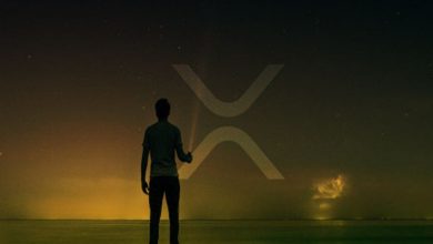 Jed McCaleb, 222,6 Milyon XRP Transfer Etti 4