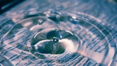 Ripple, SEC ile Yasal Mücadelesi Sürerken 40 Milyon XRP Transfer Etti 7