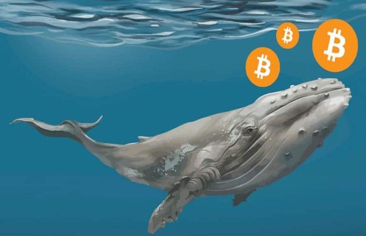 Santiment: Balinalar Düzeltmeye Rağmen Bitcoin'lerini Satmıyor 1