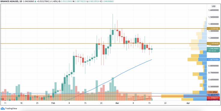 16 Mart 2021 BTC, ETH, XRP, ADA ve BNB Fiyat Analizi 7