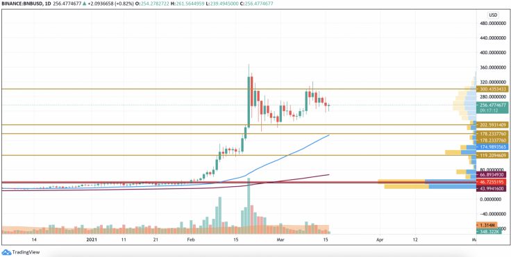 16 Mart 2021 BTC, ETH, XRP, ADA ve BNB Fiyat Analizi 6