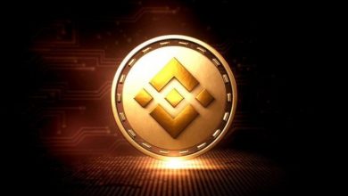 BNB'nin Başarı Hikayesi: 0.15 Dolardan 640 Dolara 5