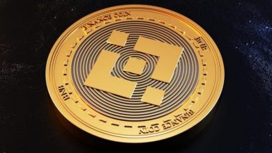 Binance Coin (BNB) Yeni Bir ATH Kaydetti 7