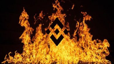 Binance Yarım Milyar Dolarlık BNB Yakma İşlemini Gerçekleştirdi 3