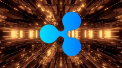 Dev Kripto Borsaları XRP Transferlerine Devam Ediyorlar 9